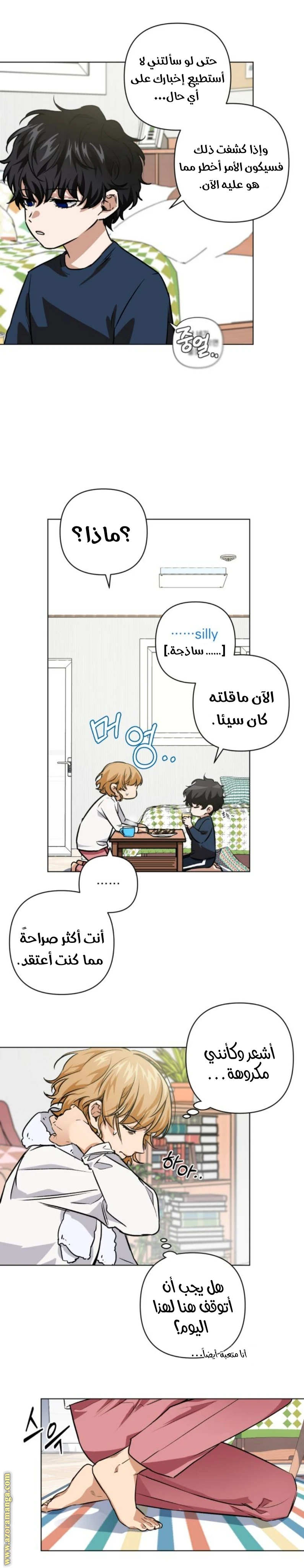 الصفحة 13