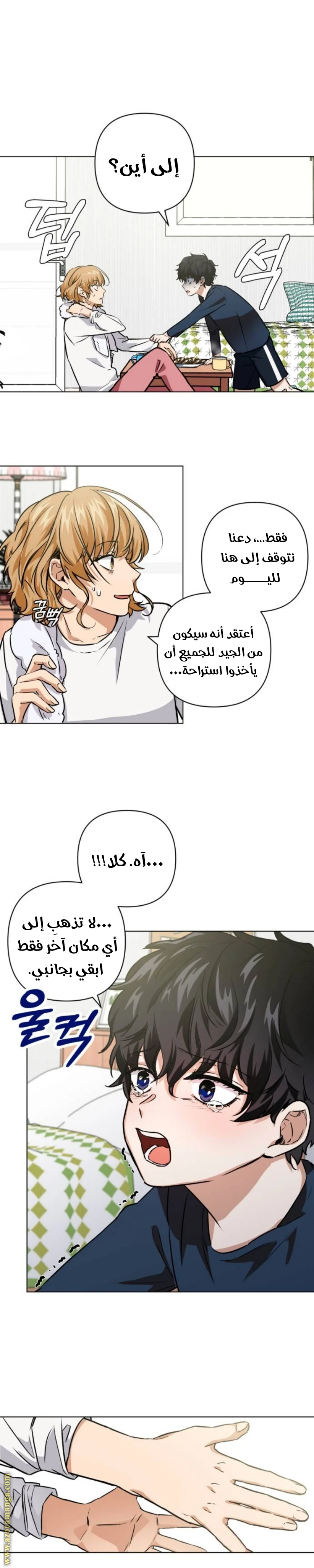 الصفحة 14
