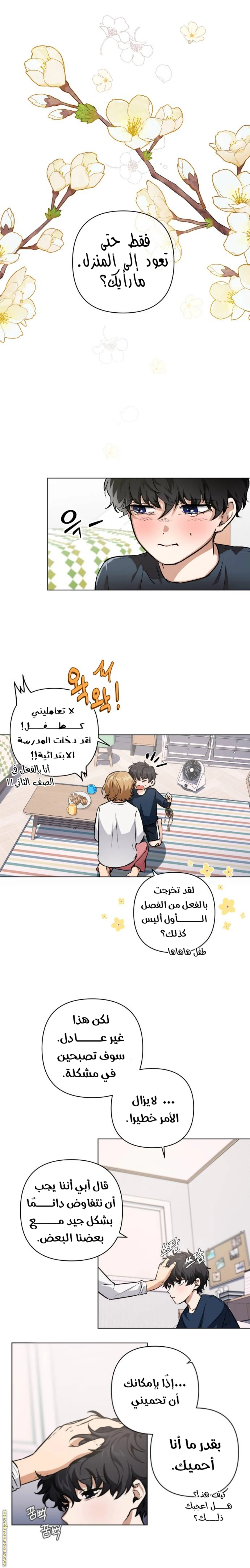الصفحة 17