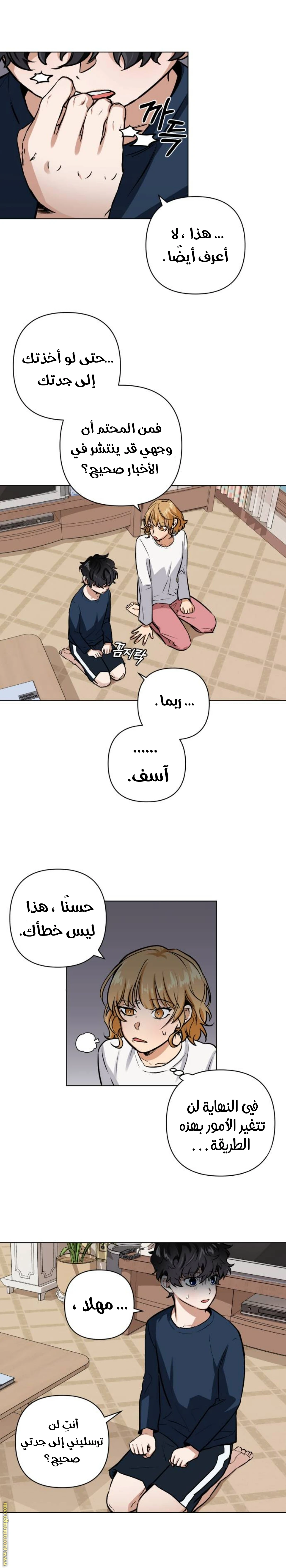 الصفحة 25