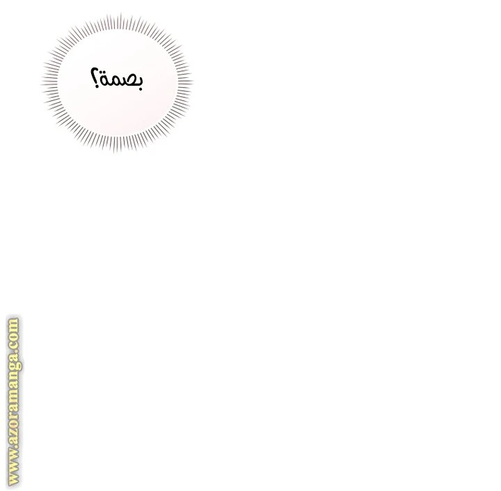 الصفحة 25