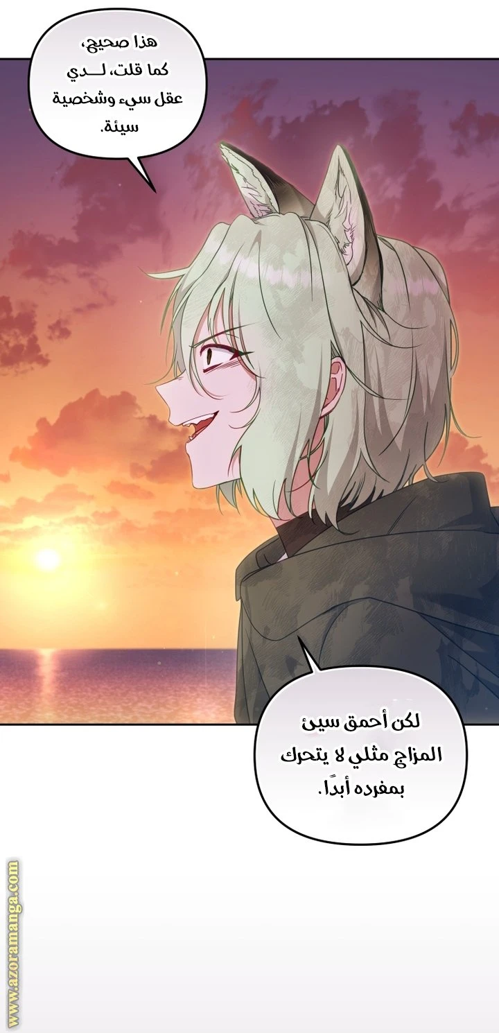 الصفحة 26