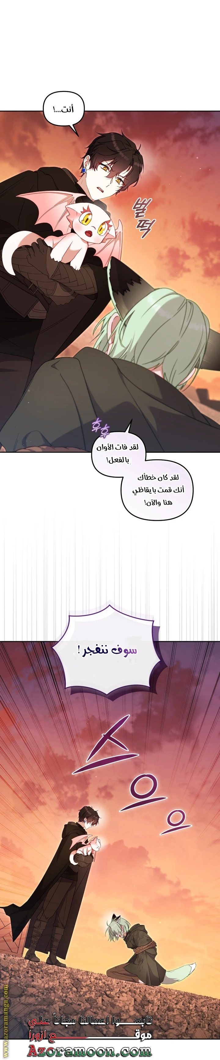 الصفحة 29