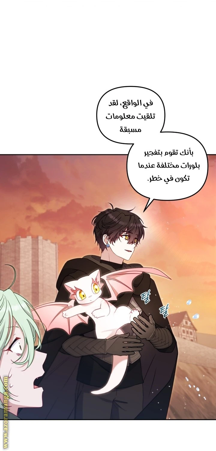 الصفحة 33