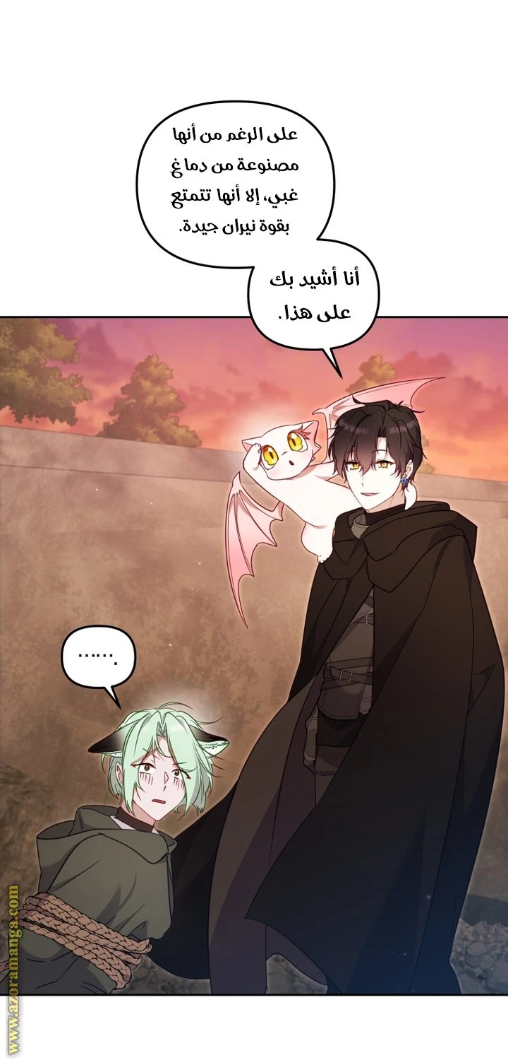 الصفحة 36