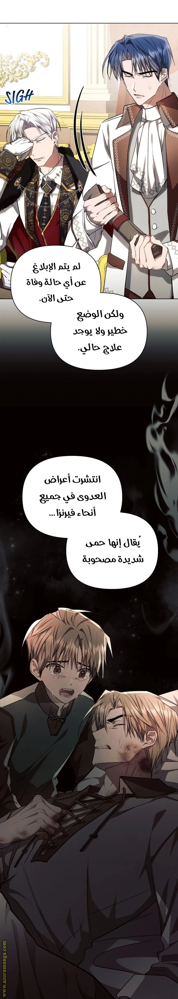 الصفحة 29