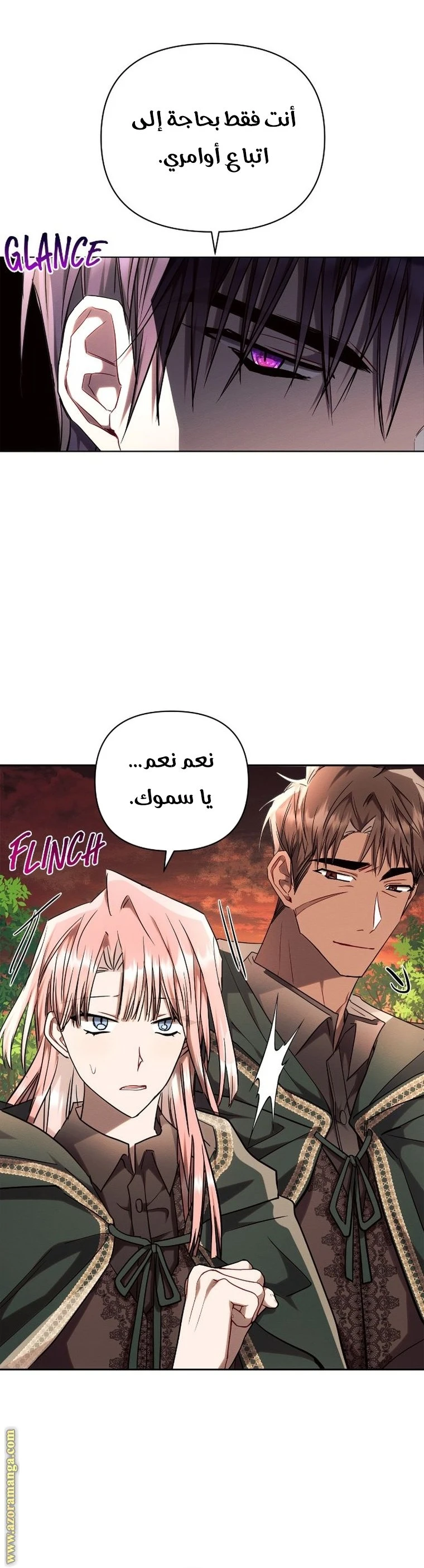 الصفحة 40
