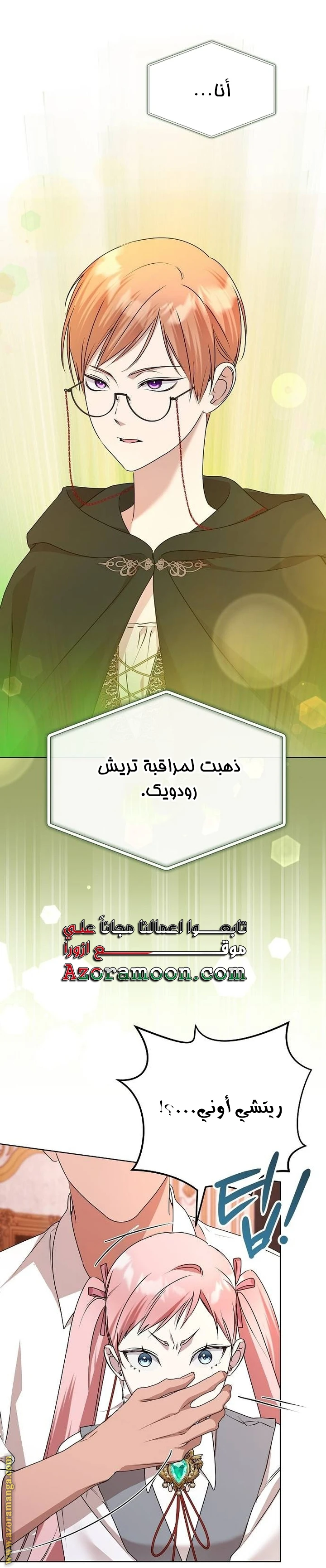 الصفحة 29