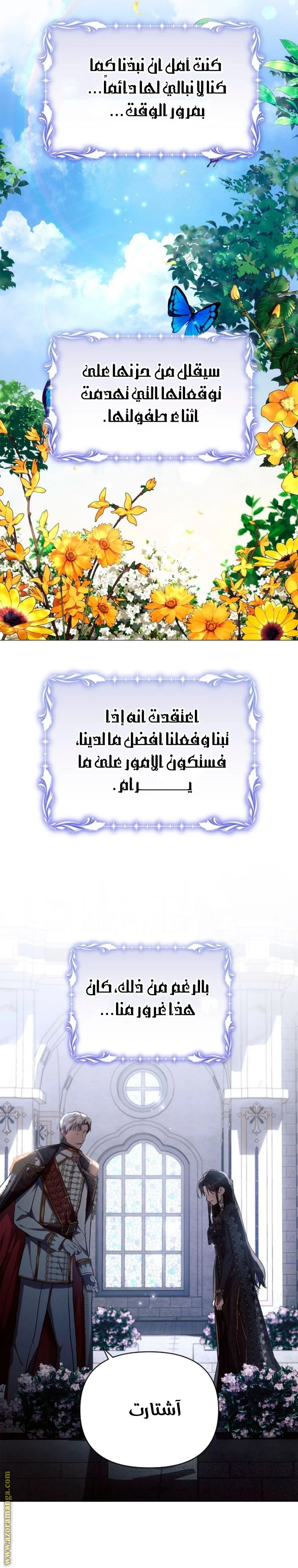 الصفحة 11