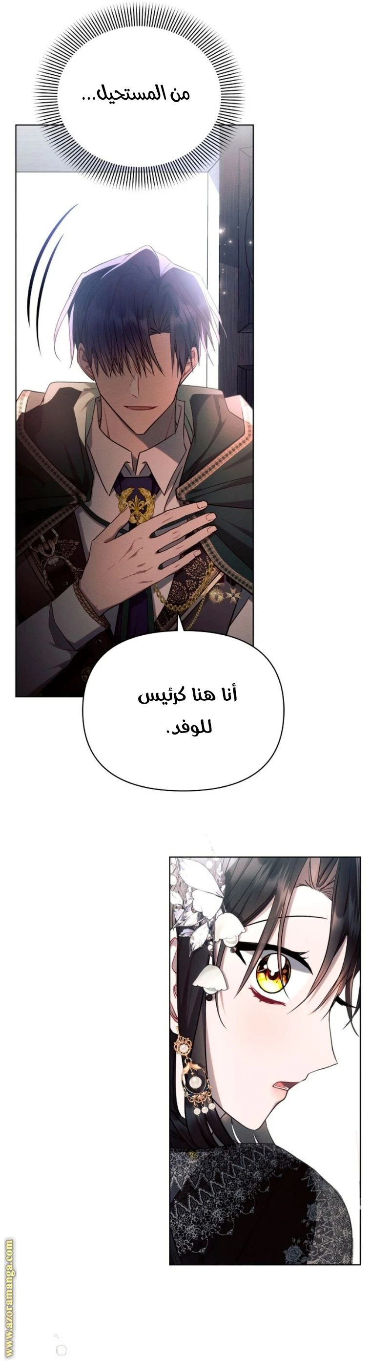 الصفحة 17