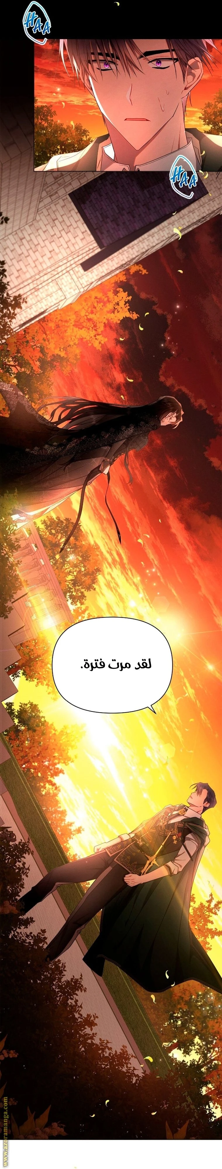 الصفحة 35