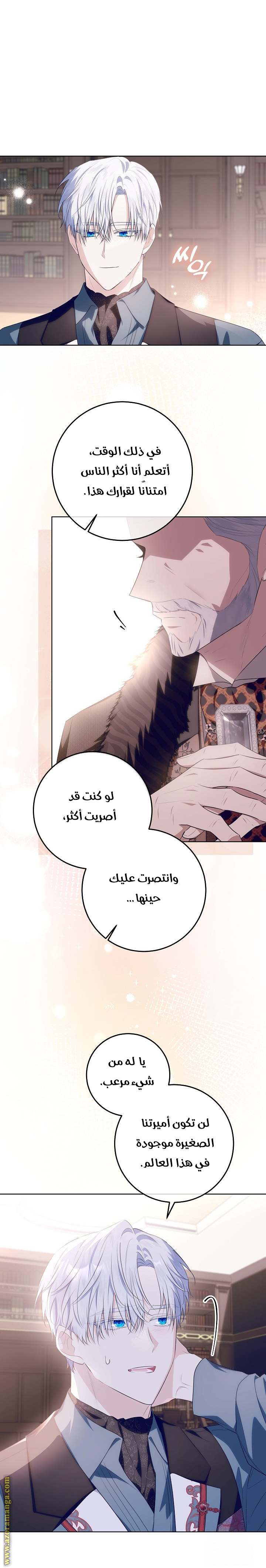 الصفحة 17