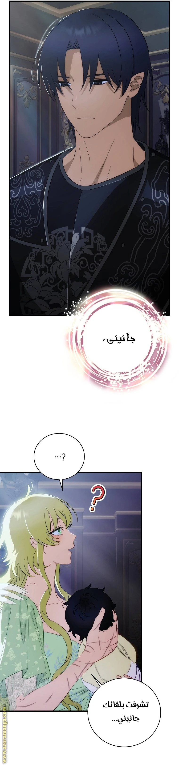 الصفحة 12