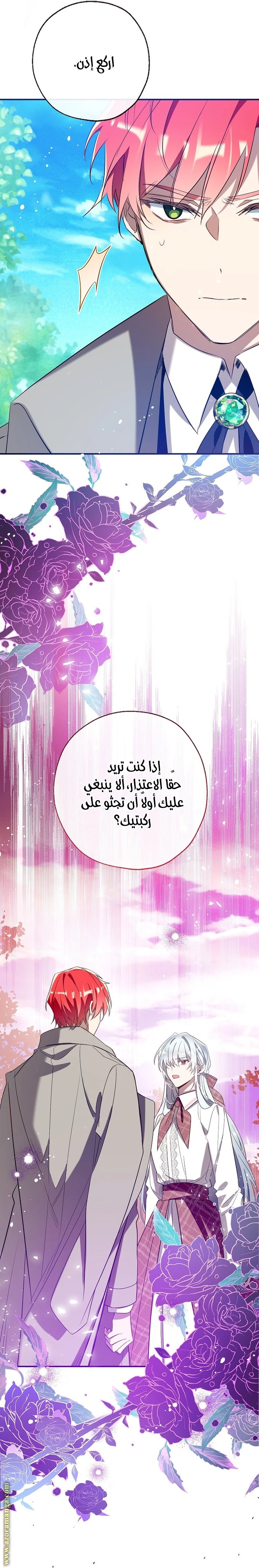 الصفحة 17