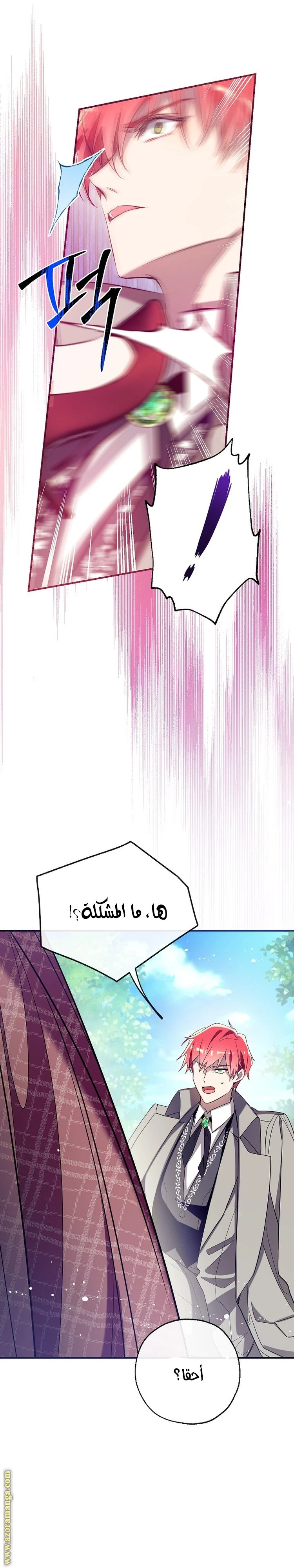 الصفحة 21