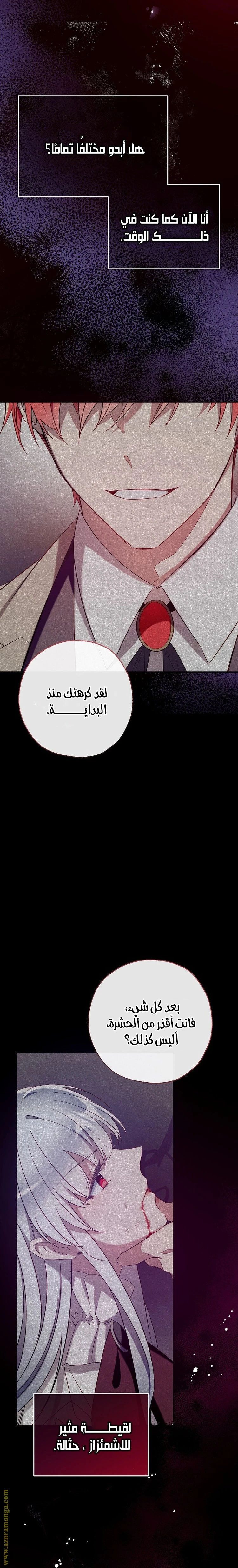 الصفحة 28