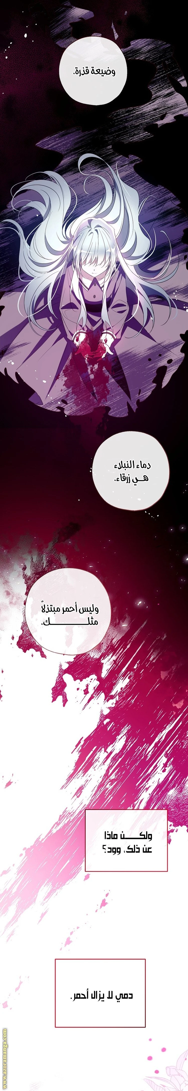 الصفحة 29