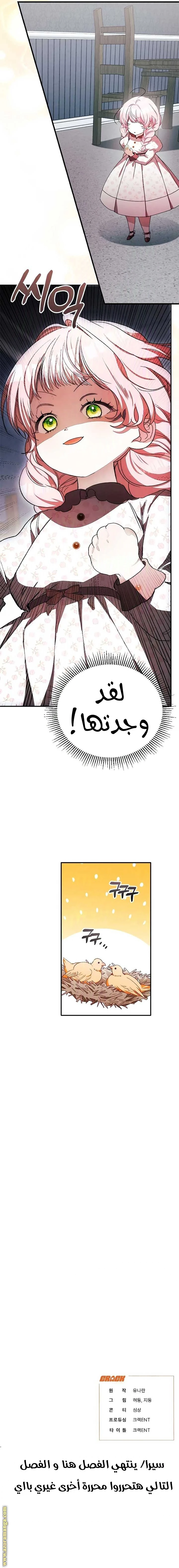 الصفحة 21