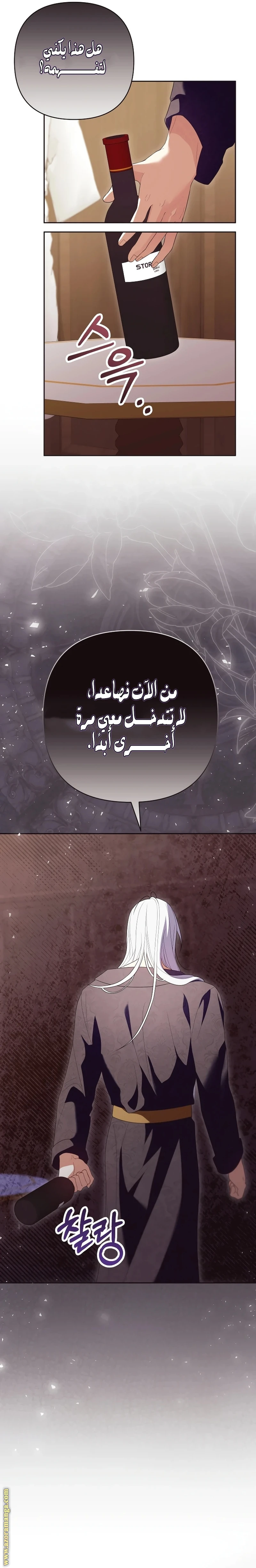الصفحة 17