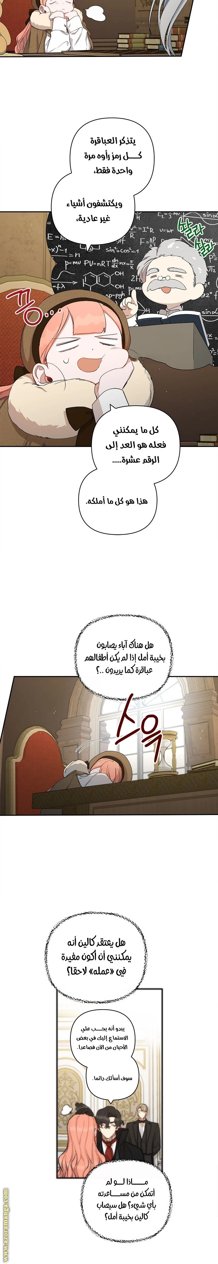 الصفحة 17