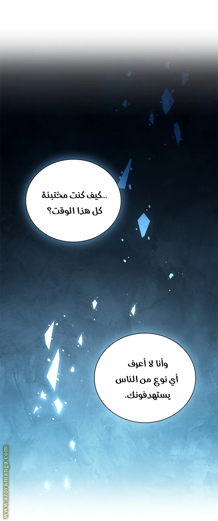 الصفحة 25