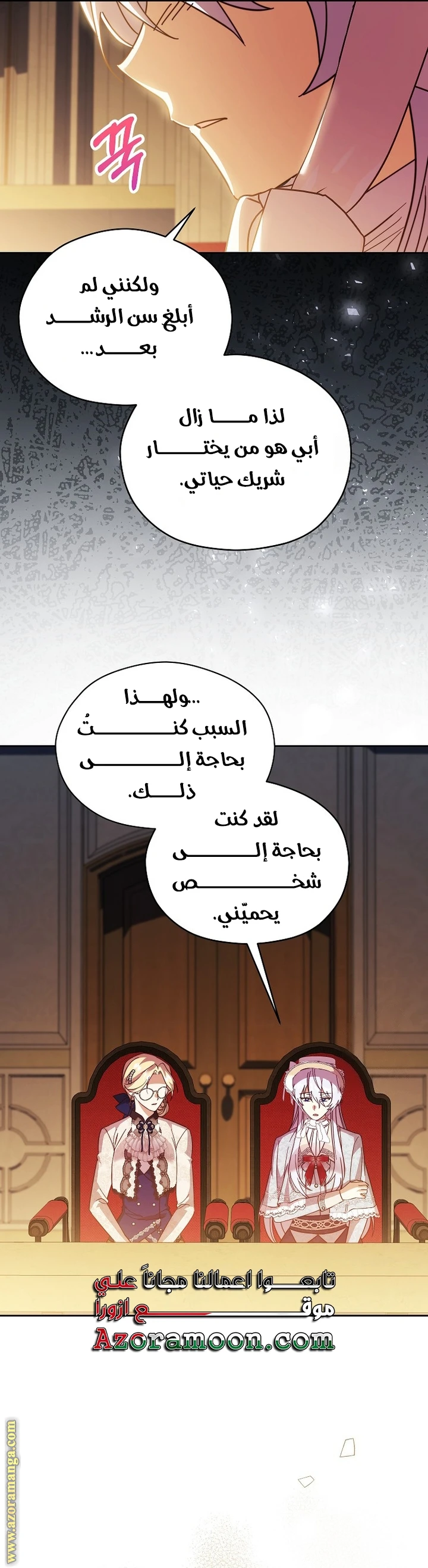 الصفحة 17