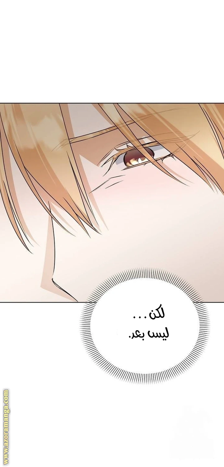 الصفحة 27