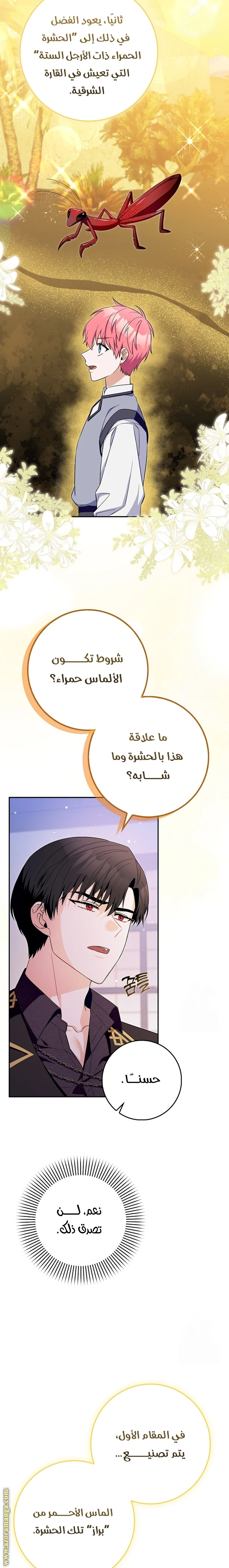 الصفحة 8