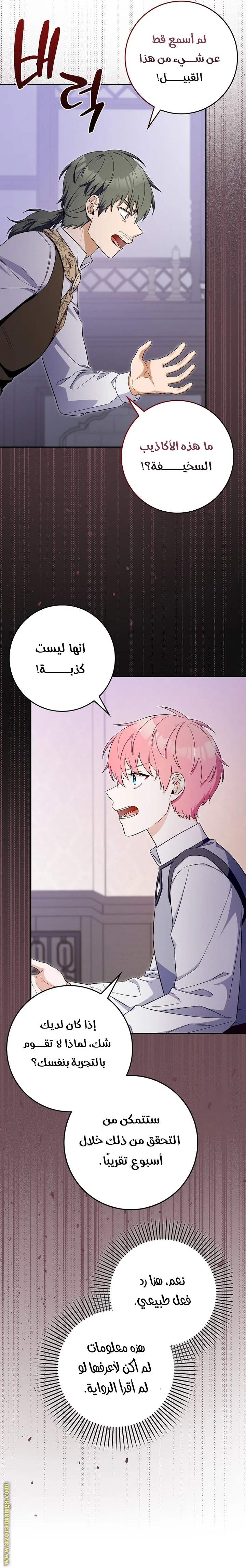الصفحة 11