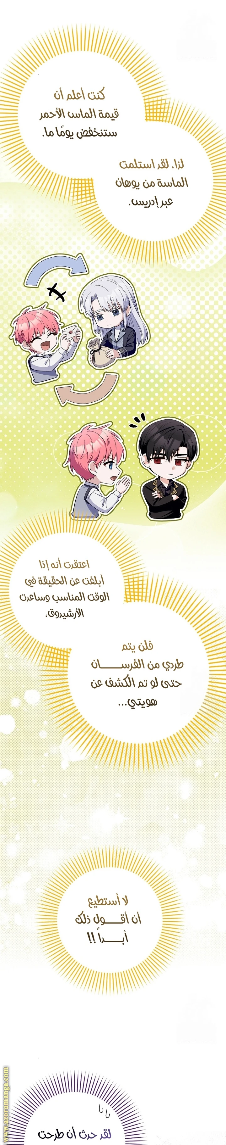 الصفحة 14