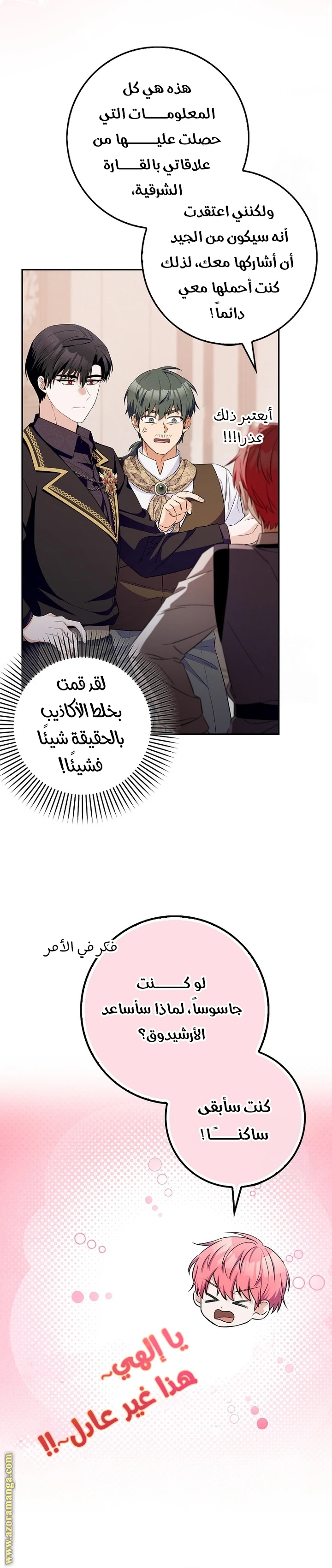 الصفحة 17
