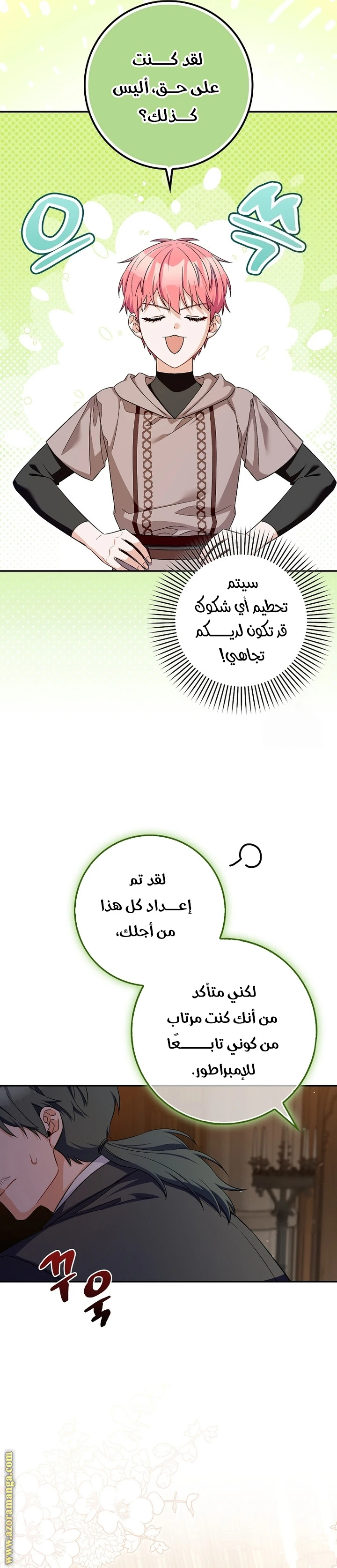 الصفحة 21