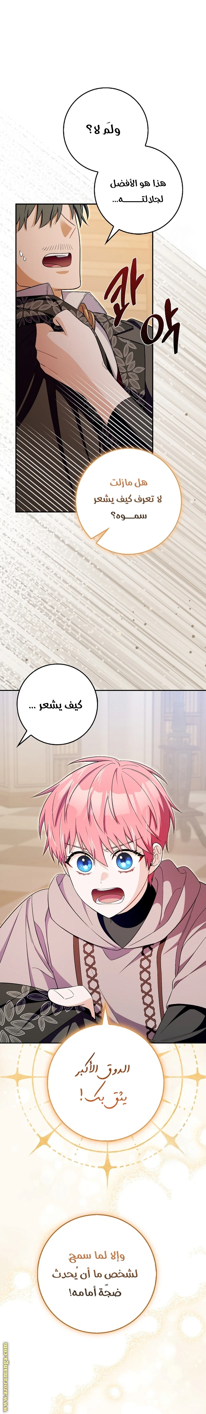 الصفحة 28