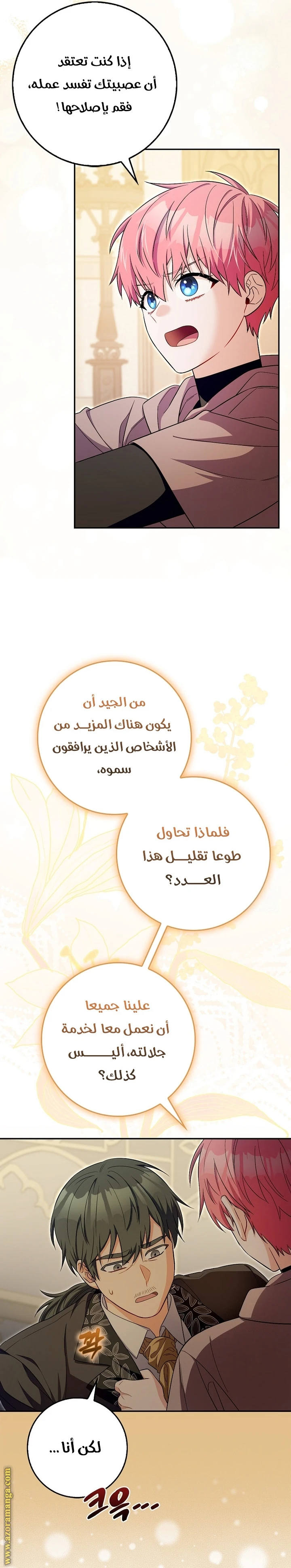 الصفحة 29