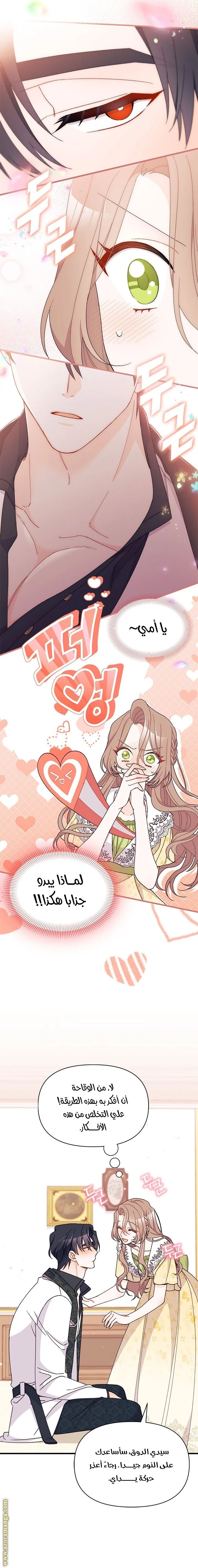 الصفحة 13