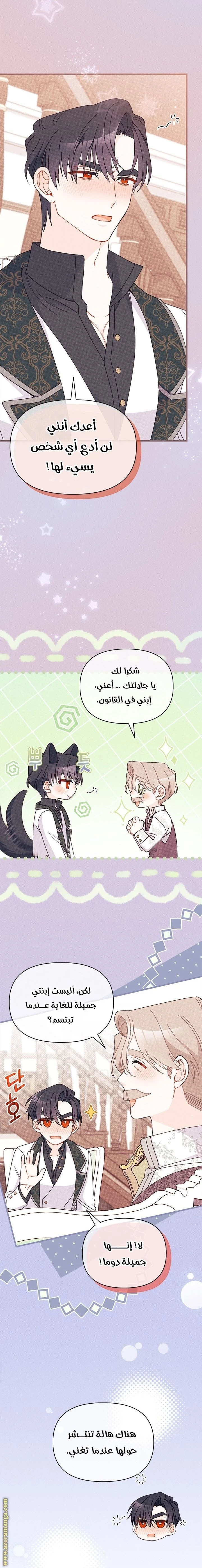 الصفحة 17