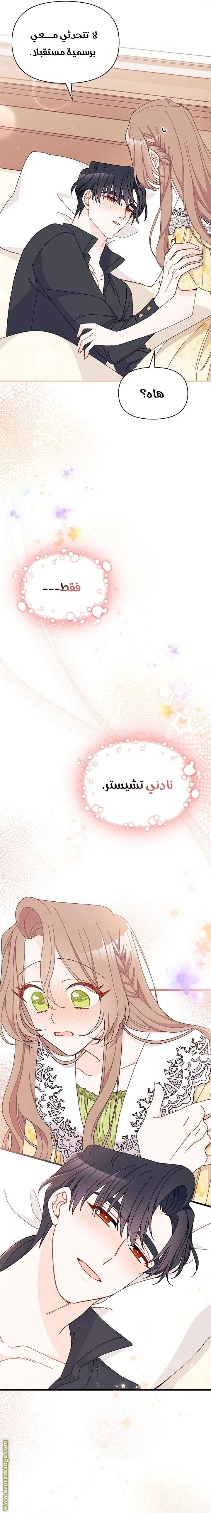 الصفحة 20