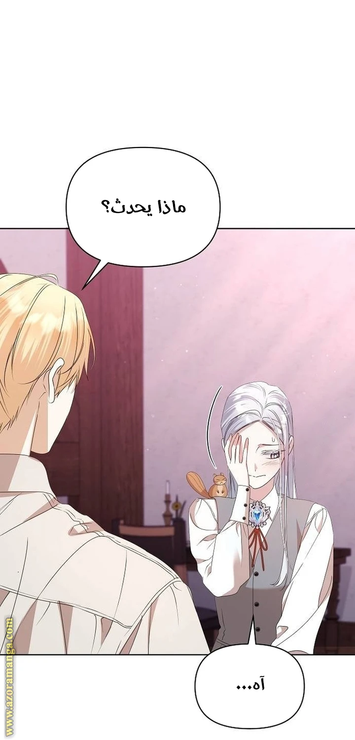 الصفحة 21