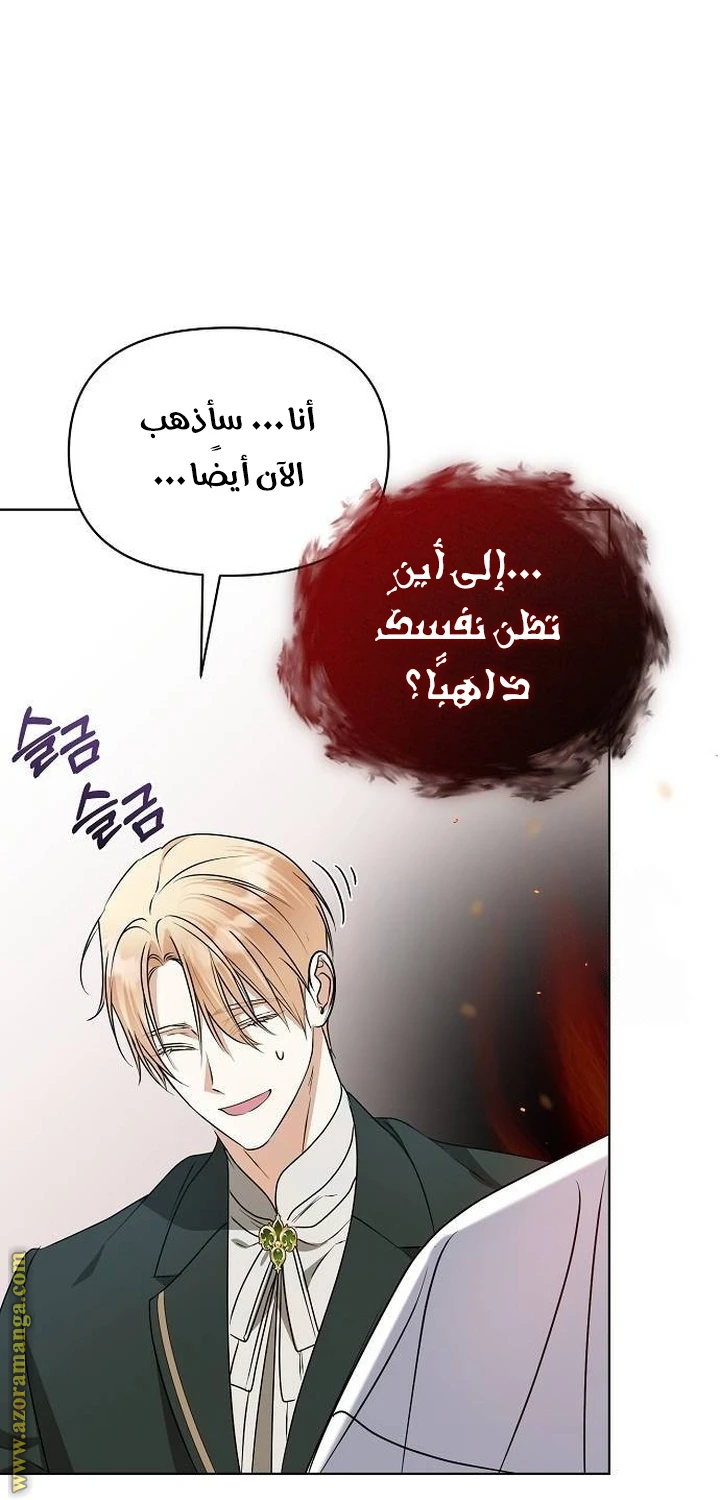 الصفحة 48