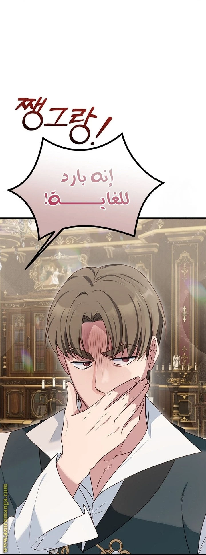 الصفحة 14