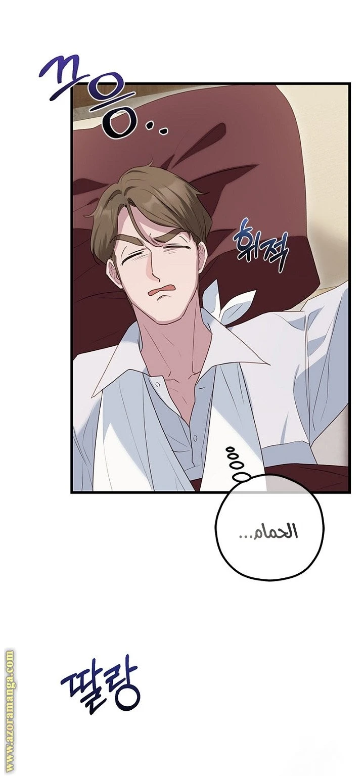 الصفحة 19