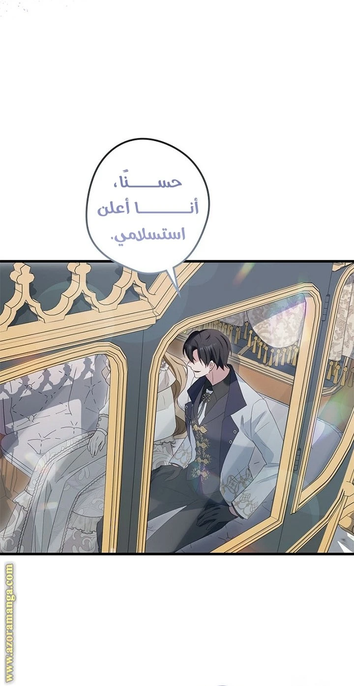 الصفحة 33
