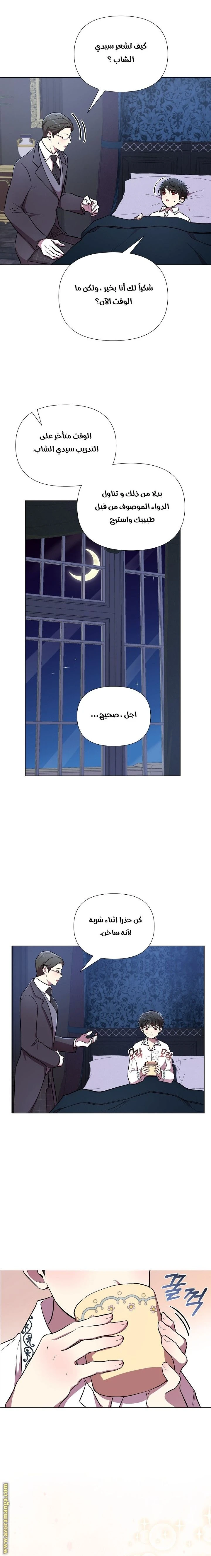 الصفحة 13