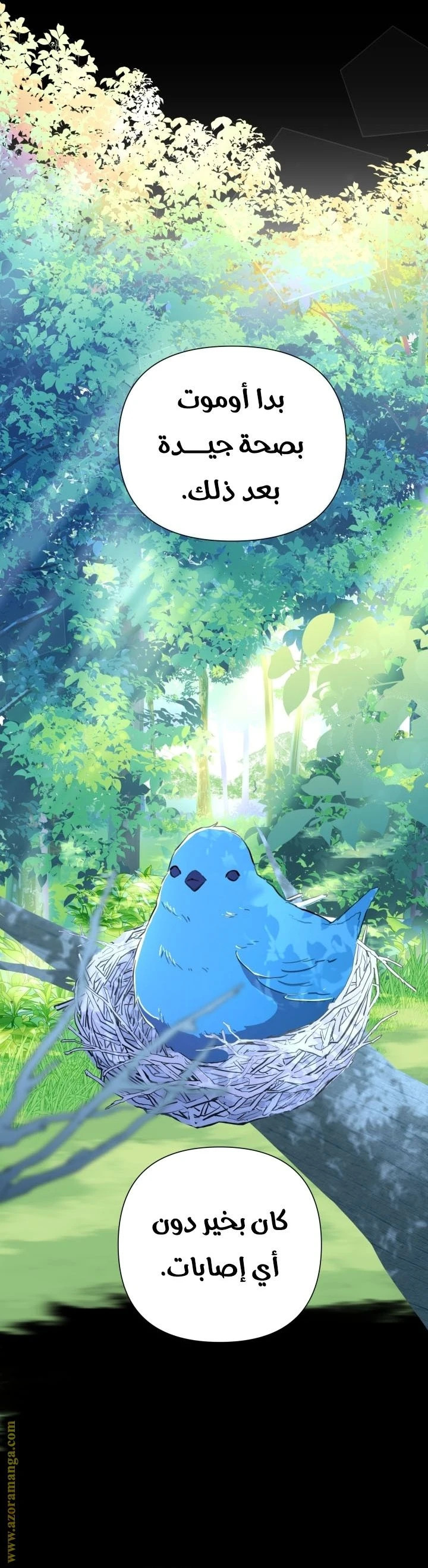 الصفحة 11