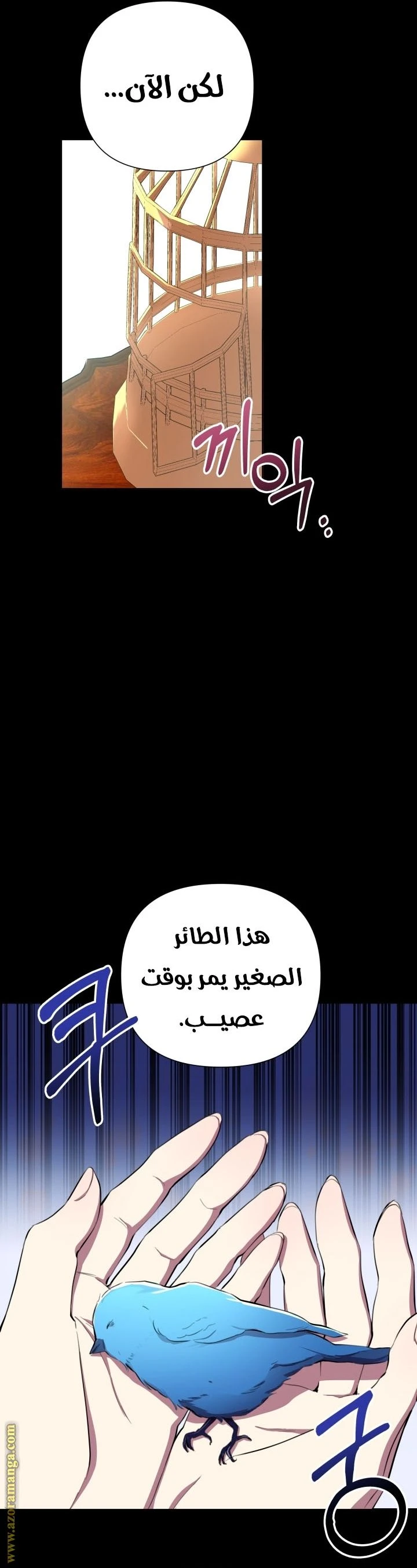 الصفحة 12