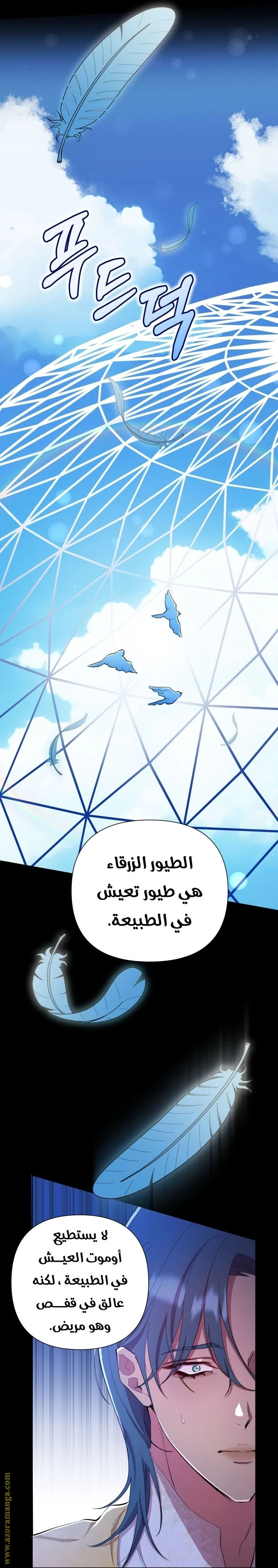 الصفحة 17