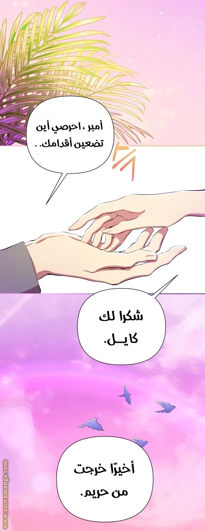 الصفحة 30