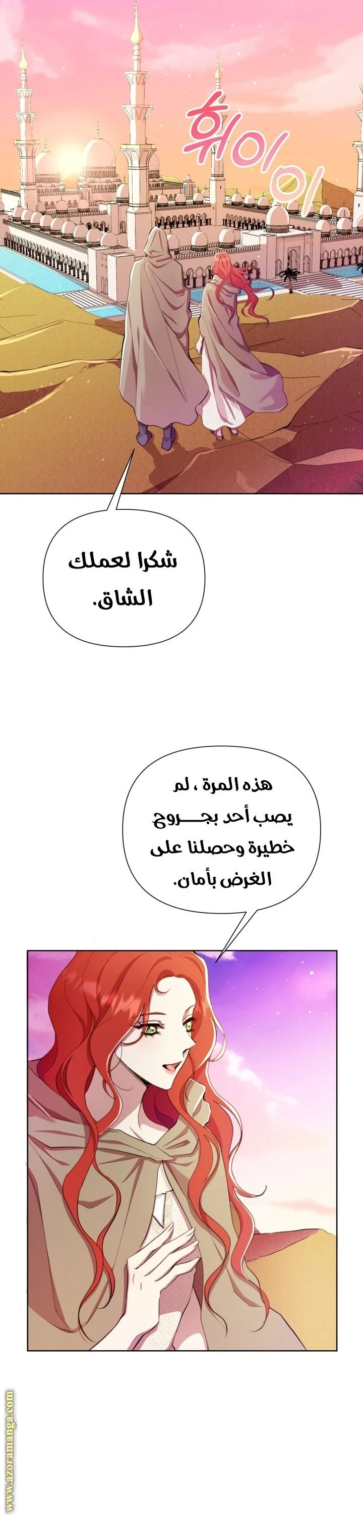 الصفحة 31