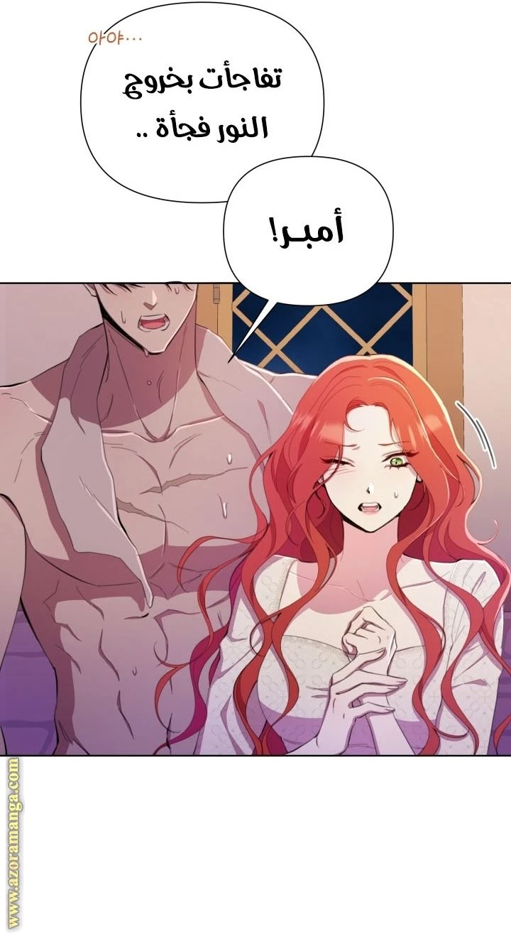 الصفحة 42