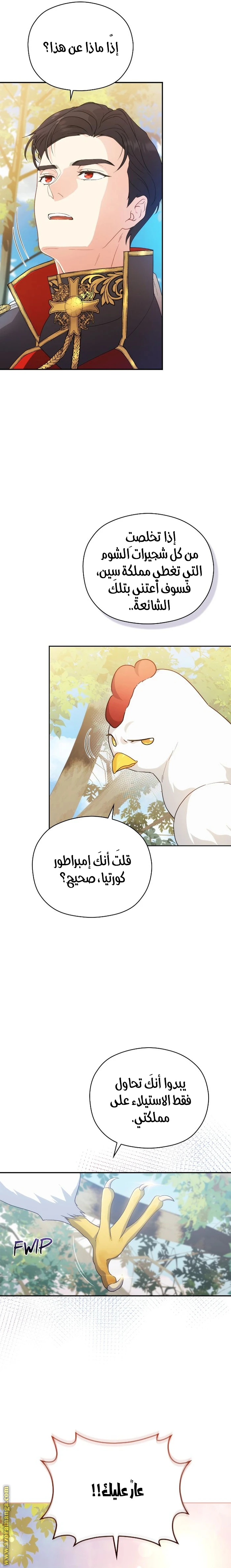 الصفحة 11